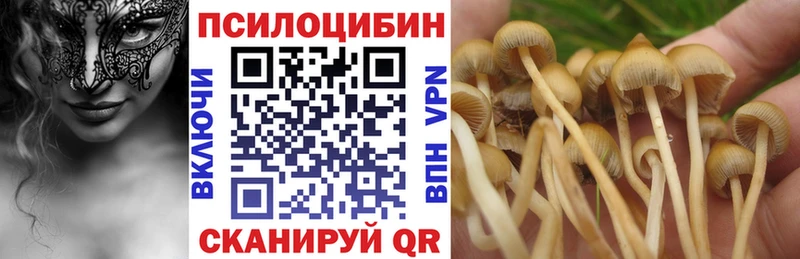 Галлюциногенные грибы MAGIC MUSHROOMS  Пикалёво 