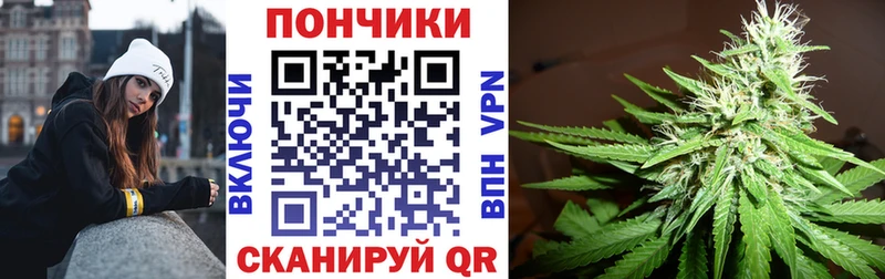 Конопля THC 21%  Пикалёво 
